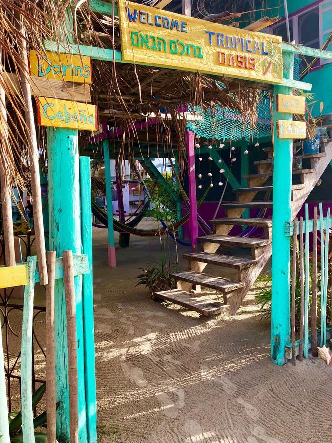 Tropical Oasis Hostel Caye Corker Exterior foto
