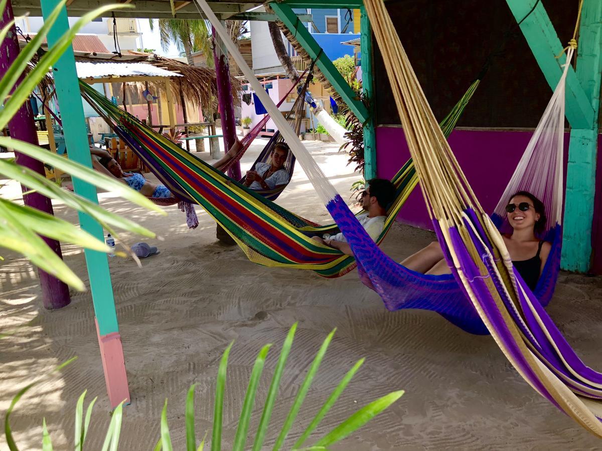Tropical Oasis Hostel Caye Corker Exterior foto
